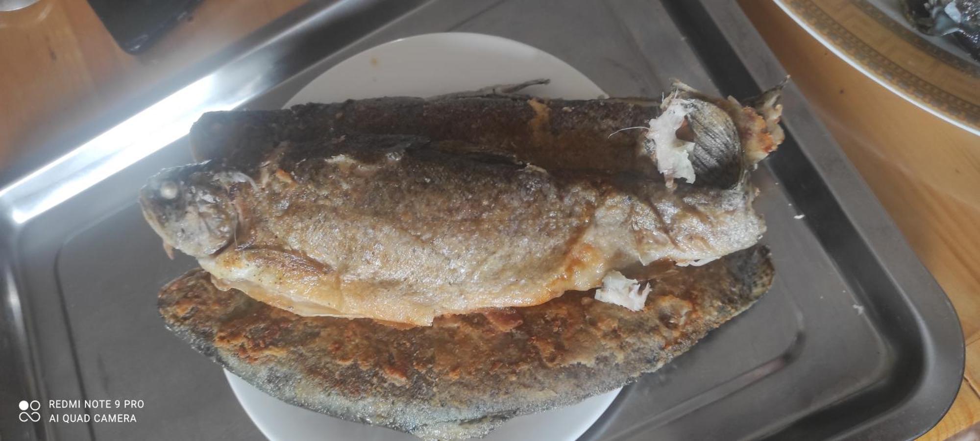 Kolsay Aisha Hotel Saty Kültér fotó